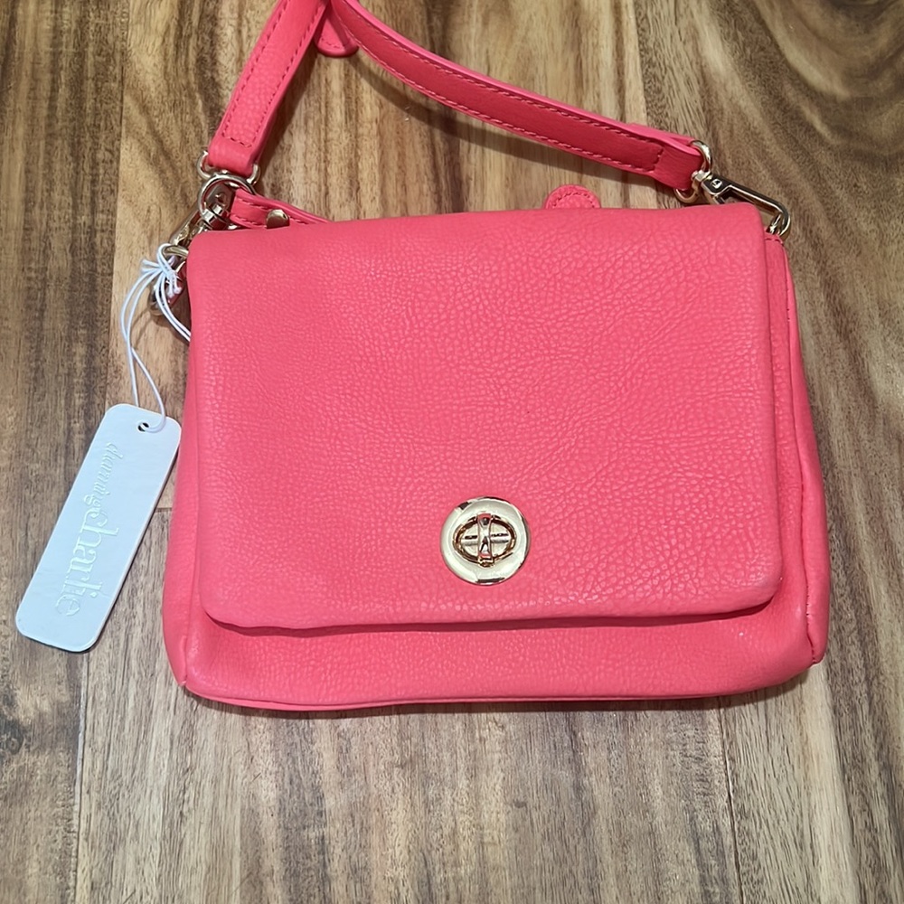 Charming Charlie’s bag